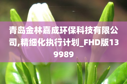 青岛金林嘉成环保科技有限公司,精细化执行计划_FHD版139989