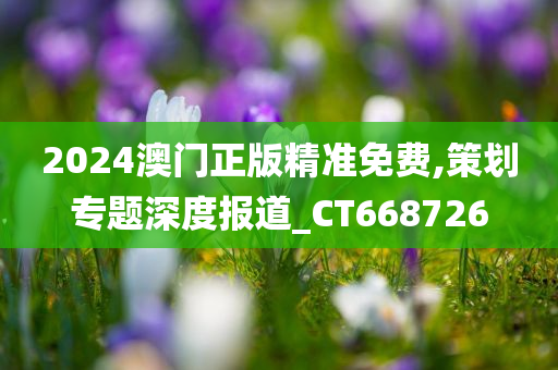 2024澳门正版精准免费,策划专题深度报道_CT668726