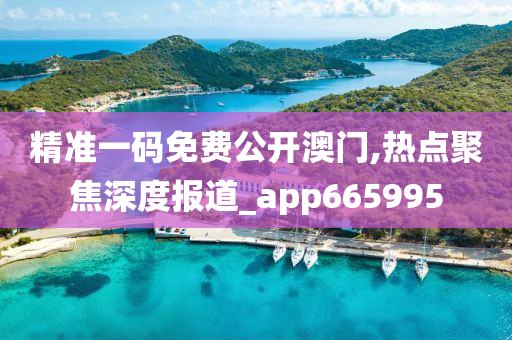 精准一码免费公开澳门,热点聚焦深度报道_app665995