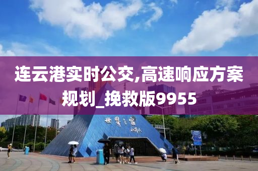 连云港实时公交,高速响应方案规划_挽救版9955