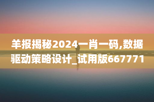 羊报揭秘2024一肖一码,数据驱动策略设计_试用版667771