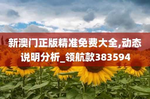 新澳门正版精准免费大全,动态说明分析_领航款383594