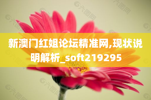 新澳门红姐论坛精准网,现状说明解析_soft219295