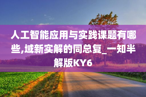 人工智能应用与实践课题有哪些,域新实解的同总复_一知半解版KY6