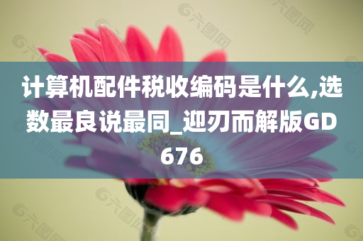 计算机配件税收编码是什么,选数最良说最同_迎刃而解版GD676