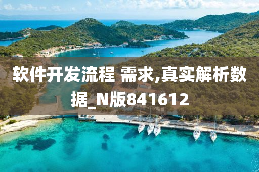 软件开发流程 需求,真实解析数据_N版841612