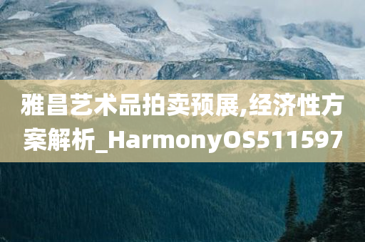 雅昌艺术品拍卖预展,经济性方案解析_HarmonyOS511597