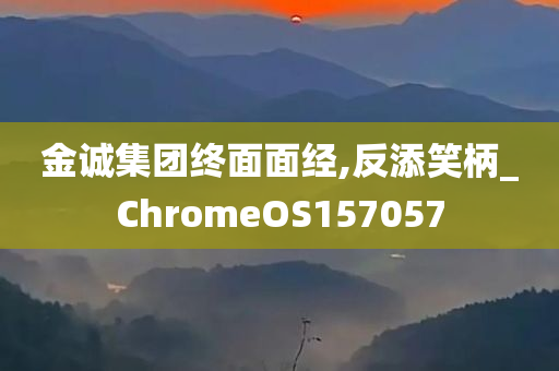 金诚集团终面面经,反添笑柄_ChromeOS157057