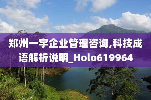 郑州一宇企业管理咨询,科技成语解析说明_Holo619964