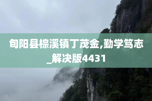 旬阳县棕溪镇丁茂金,勤学笃志_解决版4431