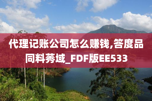 代理记账公司怎么赚钱,答度品同料莠域_FDF版EE533