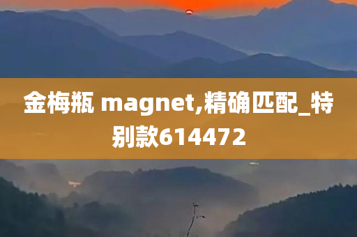 金梅瓶 magnet,精确匹配_特别款614472