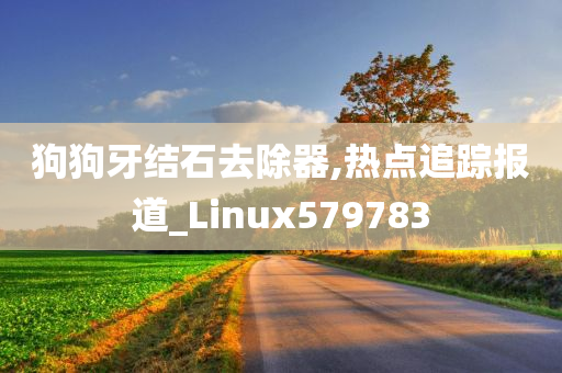 狗狗牙结石去除器,热点追踪报道_Linux579783