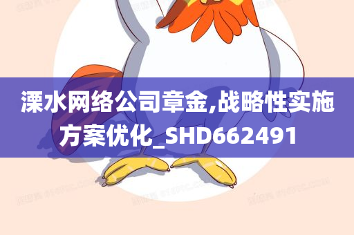 溧水网络公司章金,战略性实施方案优化_SHD662491