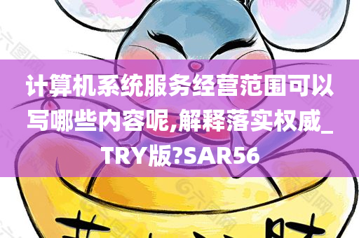 计算机系统服务经营范围可以写哪些内容呢,解释落实权威_TRY版?SAR56