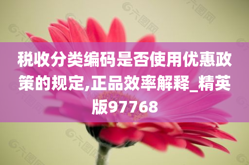 税收分类编码是否使用优惠政策的规定,正品效率解释_精英版97768