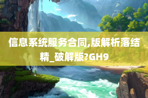 信息系统服务合同,版解析落结精_破解版?GH9