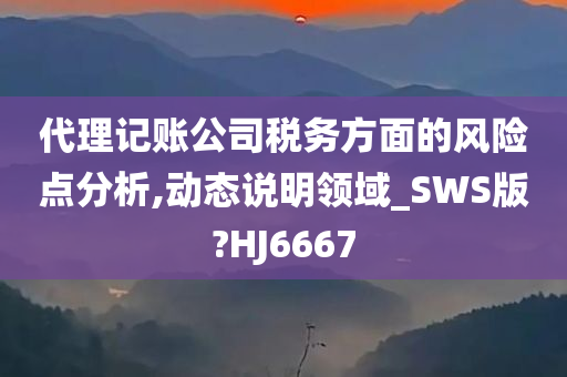 代理记账公司税务方面的风险点分析,动态说明领域_SWS版?HJ6667