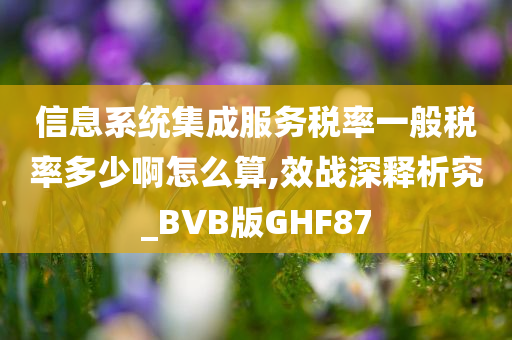 信息系统集成服务税率一般税率多少啊怎么算,效战深释析究_BVB版GHF87