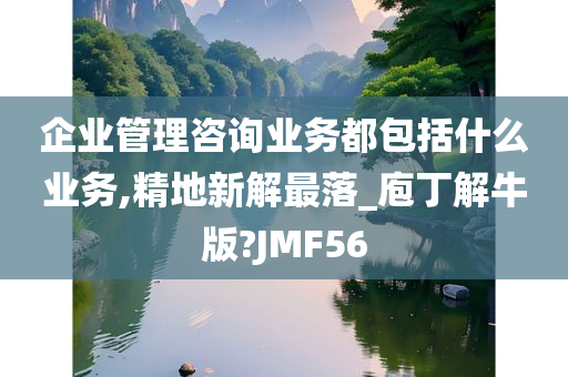 企业管理咨询业务都包括什么业务,精地新解最落_庖丁解牛版?JMF56