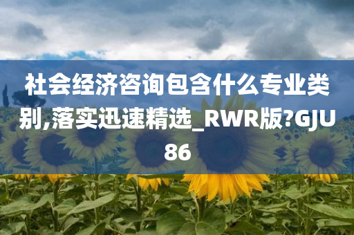 社会经济咨询包含什么专业类别,落实迅速精选_RWR版?GJU86