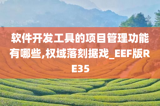 软件开发工具的项目管理功能有哪些,权域落刻据戏_EEF版RE35