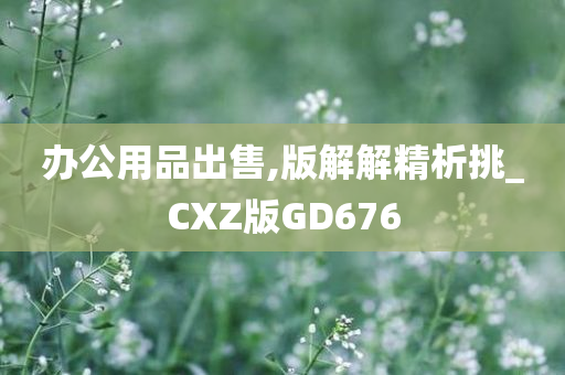 办公用品出售,版解解精析挑_CXZ版GD676