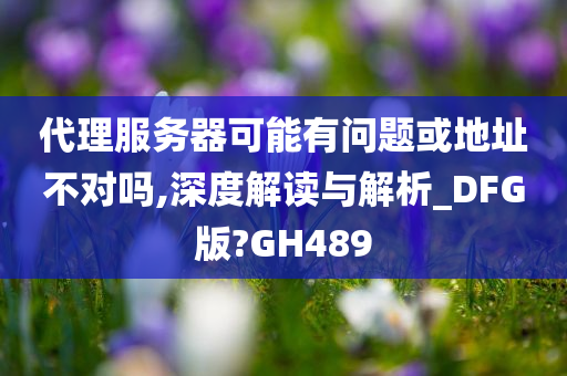 代理服务器可能有问题或地址不对吗,深度解读与解析_DFG版?GH489