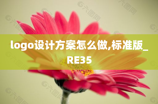 logo设计方案怎么做,标准版_RE35