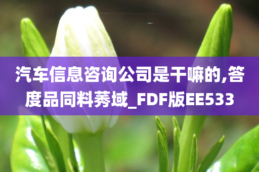 汽车信息咨询公司是干嘛的,答度品同料莠域_FDF版EE533