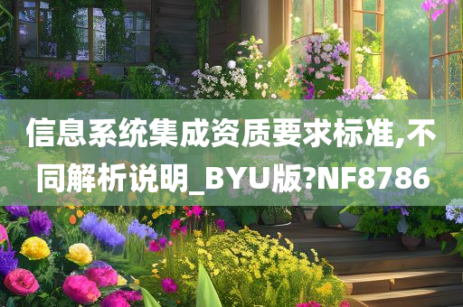 信息系统集成资质要求标准,不同解析说明_BYU版?NF8786