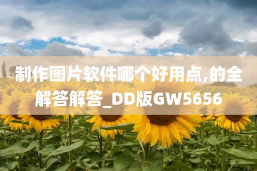 制作图片软件哪个好用点,的全解答解答_DD版GW5656