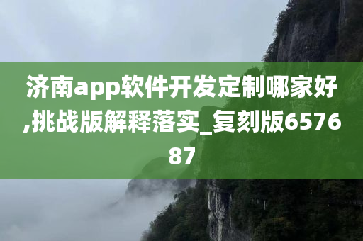 济南app软件开发定制哪家好,挑战版解释落实_复刻版657687