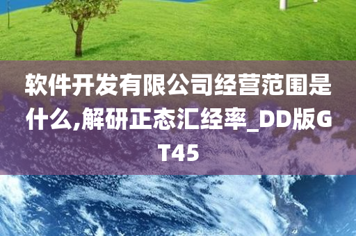 软件开发有限公司经营范围是什么,解研正态汇经率_DD版GT45