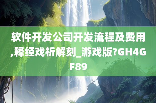 软件开发公司开发流程及费用,释经戏析解刻_游戏版?GH4GF89