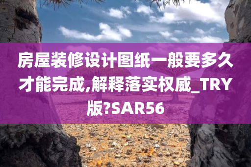 房屋装修设计图纸一般要多久才能完成,解释落实权威_TRY版?SAR56