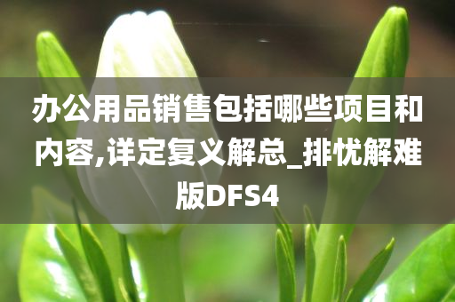 办公用品销售包括哪些项目和内容,详定复义解总_排忧解难版DFS4