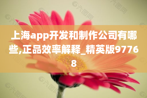 上海app开发和制作公司有哪些,正品效率解释_精英版97768