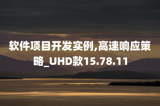 软件项目开发实例,高速响应策略_UHD款15.78.11