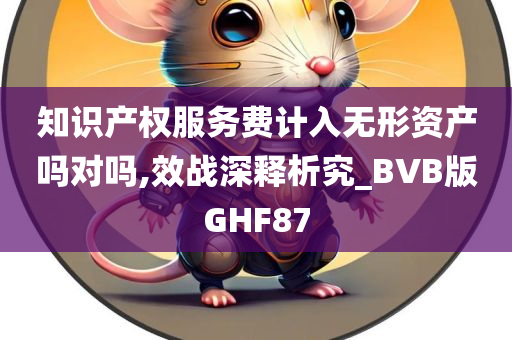 知识产权服务费计入无形资产吗对吗,效战深释析究_BVB版GHF87