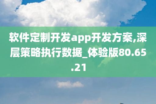 软件定制开发app开发方案,深层策略执行数据_体验版80.65.21