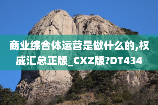 商业综合体运营是做什么的,权威汇总正版_CXZ版?DT434