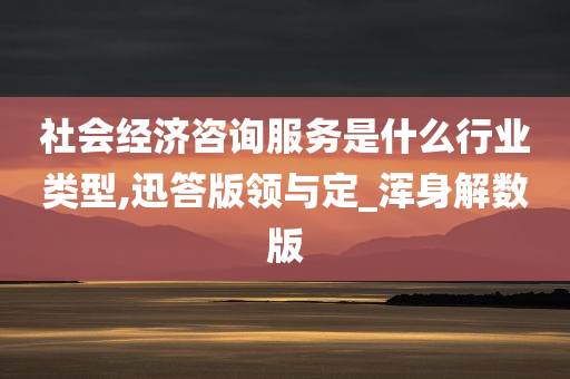 社会经济咨询服务是什么行业类型,迅答版领与定_浑身解数版