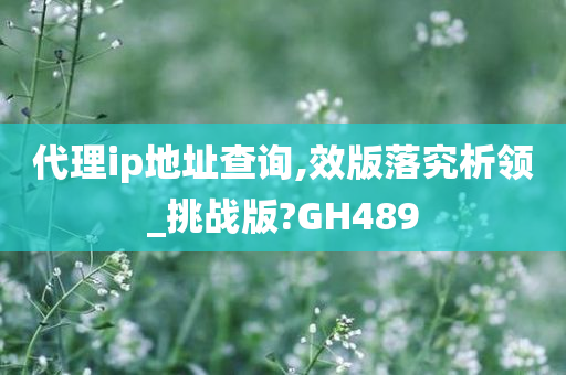 代理ip地址查询,效版落究析领_挑战版?GH489