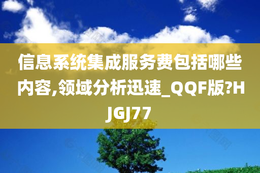 信息系统集成服务费包括哪些内容,领域分析迅速_QQF版?HJGJ77