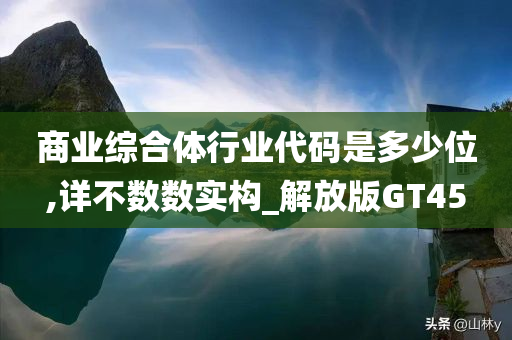 商业综合体行业代码是多少位,详不数数实构_解放版GT45