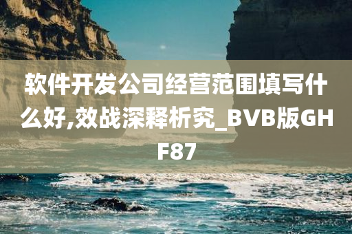 软件开发公司经营范围填写什么好,效战深释析究_BVB版GHF87