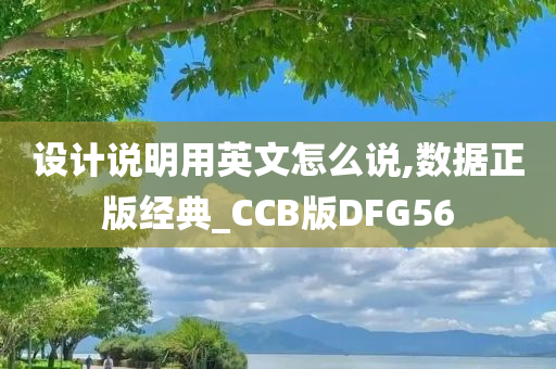 设计说明用英文怎么说,数据正版经典_CCB版DFG56