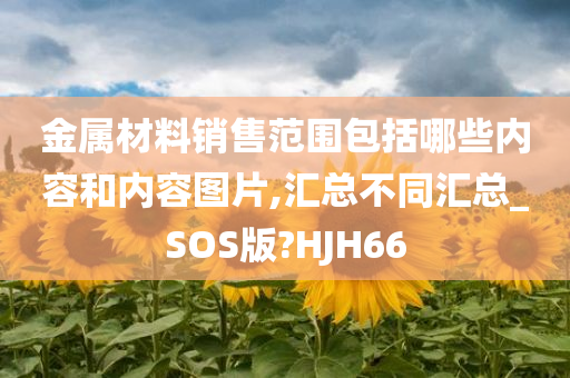 金属材料销售范围包括哪些内容和内容图片,汇总不同汇总_SOS版?HJH66