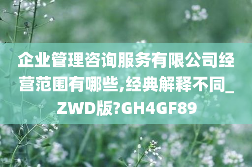 企业管理咨询服务有限公司经营范围有哪些,经典解释不同_ZWD版?GH4GF89